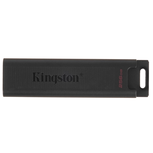 Флешка 256Gb Kingston DataTraveler Type-C Max