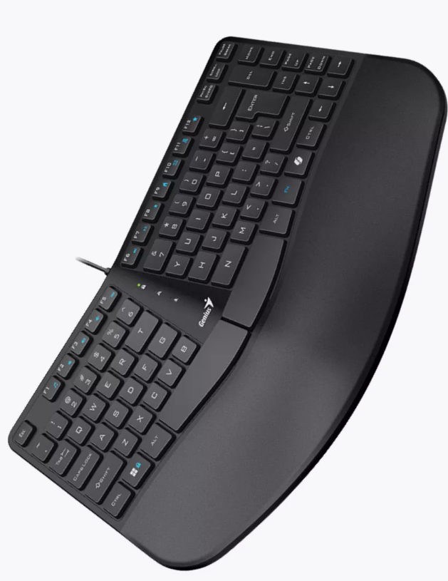 Клавиатура проводная Genius Ergo KB-700 USB черный