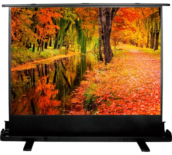 Экран для проектора Cactus 150x200см FloorExpert CS-PSFLE-200X150 4:3 напольный рулонный