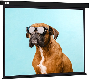 Экран для проектора Cactus 183x244см Wallscreen CS-PSW-183X244-BK 4:3 настенно-потолочный рулонный черный