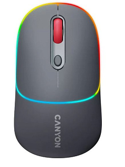 Мышь беспроводная Canyon MW-22 Grey