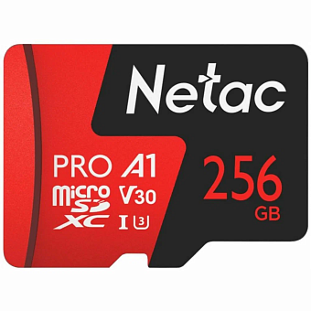 Карта памяти microSD 256Gb Netac P500 Extreme Pro Class 10, 100MB/s, без SD адаптера