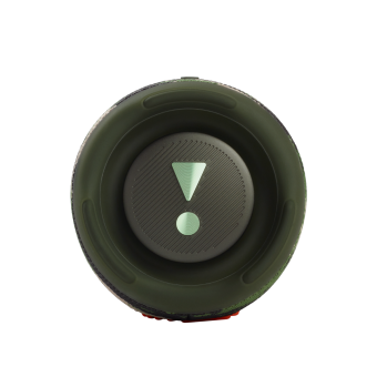 Портативная акустика JBL Charge 5 камуфляж