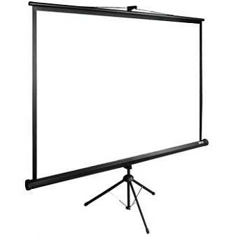 Экран для проектора Cactus TriExpert CS-PSTE-220X220-BK (напольный,  220x220 см, стекловолокно)