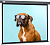 Экран для проектора Cactus 149.4x265.7см Wallscreen CS-PSW-149X265-SG 16:9 настенно-потолочный рулонный серый