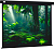 Экран для проектора Cactus 213x213см Wallscreen CS-PSW-213X213-BK 1:1 настенно-потолочный рулонный черный