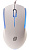 Мышь проводная Оклик 245M белый
