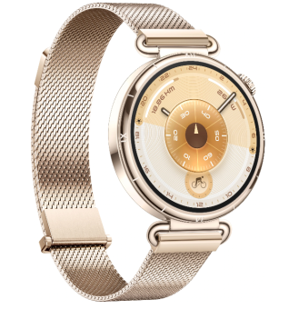 Смарт-часы Huawei Watch GT 6 41mm Gold Milanese (золотистый)