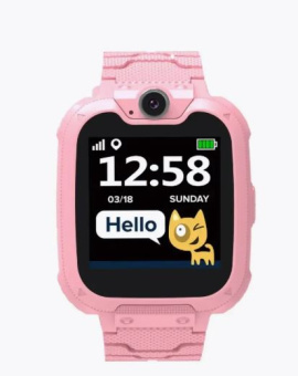 Смарт-часы Canyon KW-31 Pink