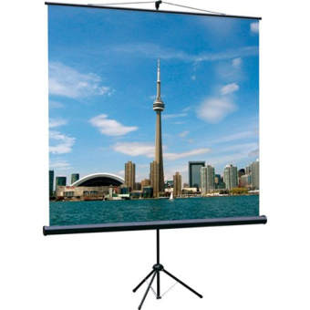 Экран для проектора Lumien Eco View 180x180 MW (на треноге, раб. поверхность 180 x 180 см, формат 1:1)