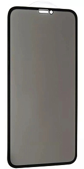 Защитное стекло для смартфона Apple iPhone 12 Pro Max 6.7" Full Privacy, антишпион