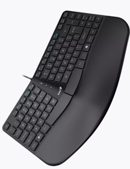 Клавиатура проводная Genius Ergo KB-700 USB черный