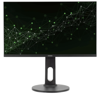 Монитор 23.6" Digma 24P505F (IPS 1920x1080 5ms 100Hz DP VGA) черный