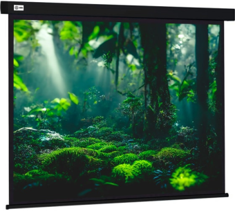 Экран для проектора Cactus 213x213см Wallscreen CS-PSW-213X213-BK 1:1 настенно-потолочный рулонный ч