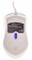 Мышь проводная Оклик 245M белый