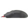 Мышь проводная A4Tech Bloody Q82 6200dpi черный