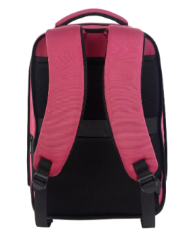 Рюкзак для ноутбука 15" Canyon CNS-BPE5BD1 Red