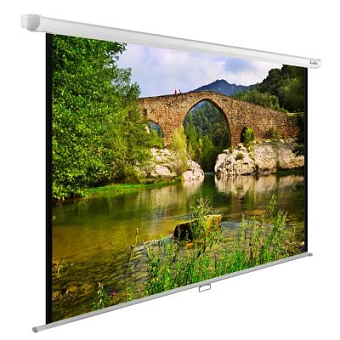 Экран для проектора Cactus 165x220см WallExpert CS-PSWE-220x165-WT 4:3 настенно-потолочный рулонный 