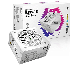 Блок питания 750W 1STPLAYER NGDP GOLD 120mm, 80 Plus Gold White