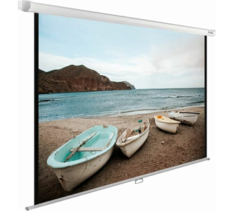 Экран для проектора Cactus 138x220см WallExpert CS-PSWE-220x138-WT 16:10 настенно-потолочный рулонны