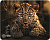 Коврик для мыши CACTUS [CS-MP-D06S] 250x200x3мм, Leopard