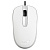 Мышь проводная Genius DX-120 (DX120) 1000dpi USB White