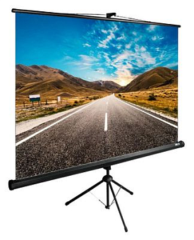 Экран для проектора Cactus 160x160см TriExpert CS-PSTE-160x160-BK 1:1 напольный рулонный черный