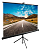 Экран для проектора Cactus 160x160см TriExpert CS-PSTE-160x160-BK 1:1 напольный рулонный черный