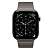 Смарт-часы Apple Watch Series 11 46mm Titanium Link Bracelet Slate (графитовый)
