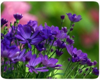 Коврик для мыши BURO [BU-M20012] Цветы, 230x180x2мм, губчатая резина, нескользящая основа