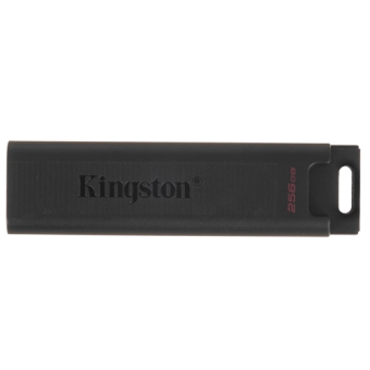 Флешка 256Gb Kingston DataTraveler Type-C Max