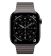 Смарт-часы Apple Watch Series 11 42mm Titanium Link Bracelet Slate